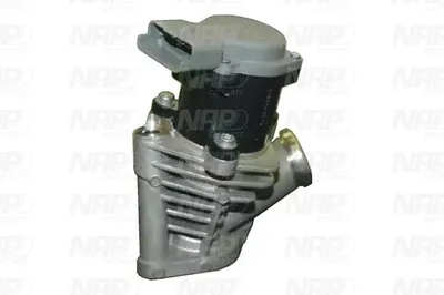Vanne EGR NAP Carparts CAV10129