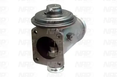 Vanne EGR NAP Carparts CAV10131