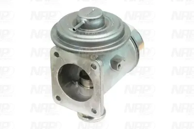 Vanne EGR NAP Carparts CAV10132