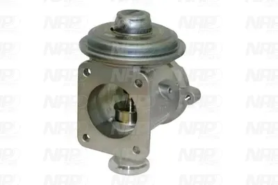 Vanne EGR NAP CarPARTS CAV10133