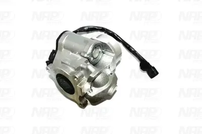 Vanne EGR NAP Carparts CAV10141