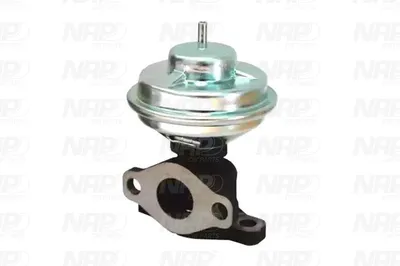 Vanne EGR NAP Carparts CAV10143