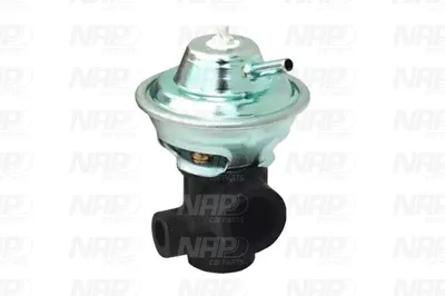 Vanne EGR NAP Carparts CAV10161