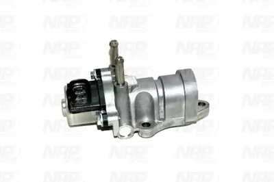 Vanne EGR NAP CarPARTS CAV10162