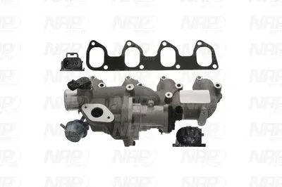 Vanne EGR NAP CarPARTS CAV10165