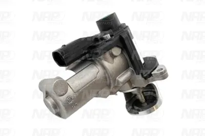 Vanne EGR NAP CarPARTS CAV10168