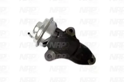 Vanne EGR NAP Carparts CAV10169