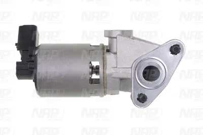 Vanne EGR NAP CarPARTS CAV10172