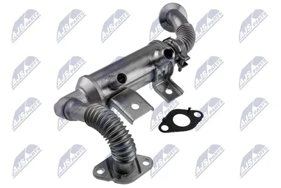 Radiateur, réaspiration des gaz d'échappement Ford TOURNEO CONNECT · Ford TRANSIT CONNECT