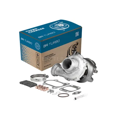 Turbocompresseur, suralimentation BR Turbo 53169887023RSM