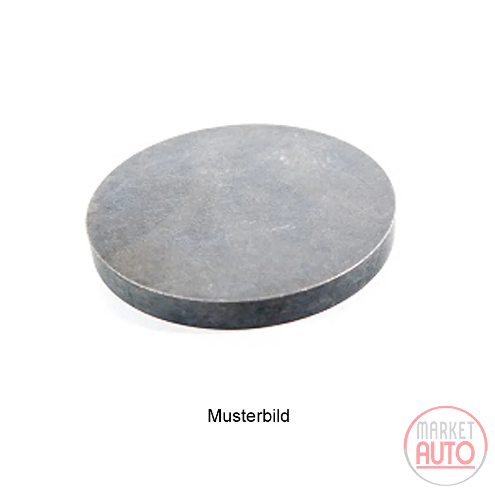 Valve disc H=2.55 =31 mm