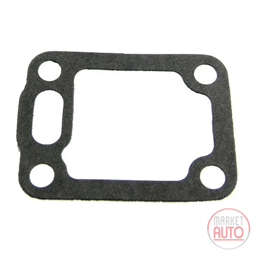 Gasket for alternator holder