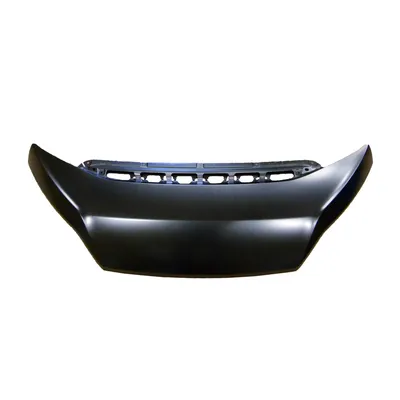 Bonnet from 2014