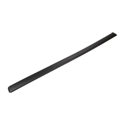 Trim strip right front on the passenger door, passenger side