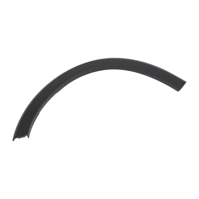 Trim strip on the front left fender