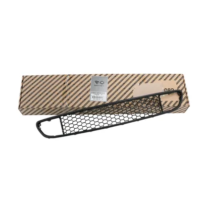 Radiator grille front bottom