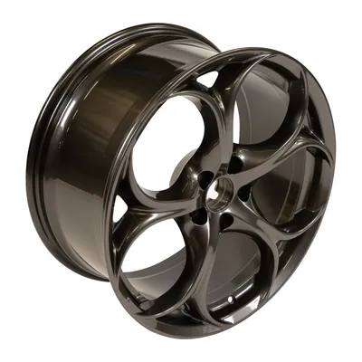 Alloy wheel 9.0Jx19 rear