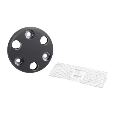 Wheel hub cap