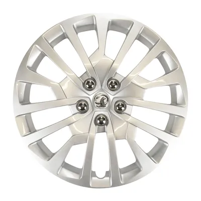 Hubcap 17 inch