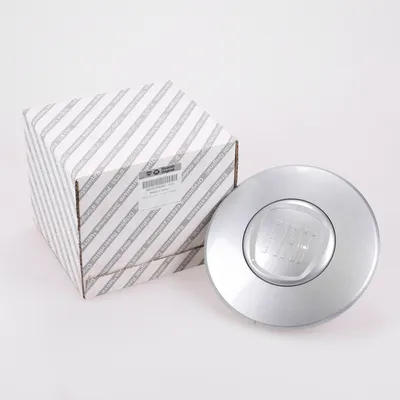 Wheel hub cap Fiat logo silver 16 inch