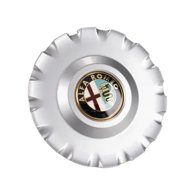 Wheel hub cap