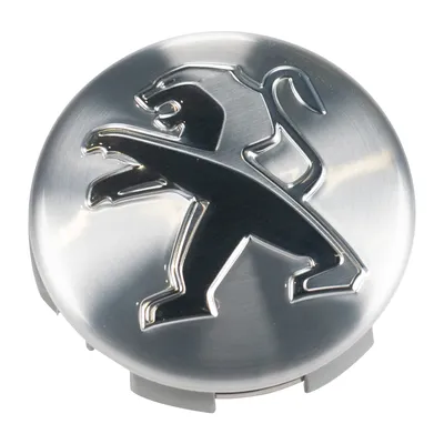 Wheel hub cap for aluminum rim