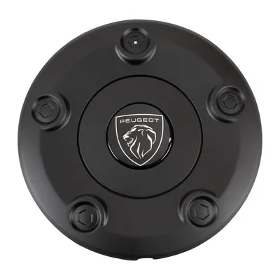 Wheel hub cap