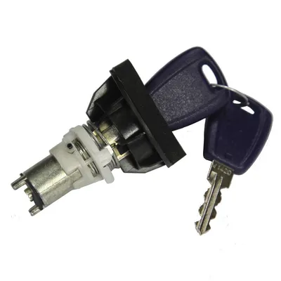 Trunk lock with key