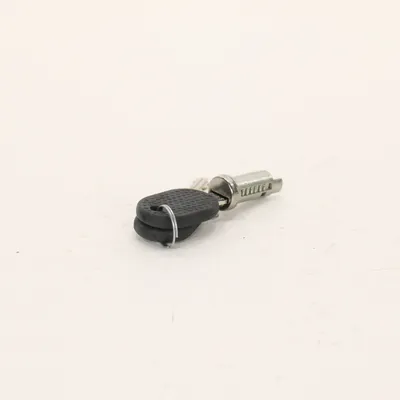 Door lock cylinder with 2 keys