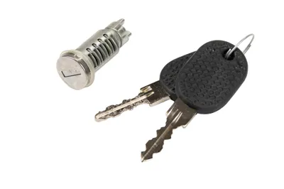 Door lock cylinder with 2 keys