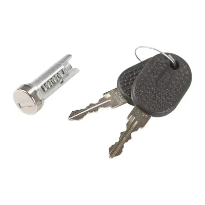 Door lock cylinder with 2 keys