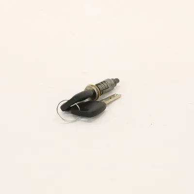 Door lock cylinder insert