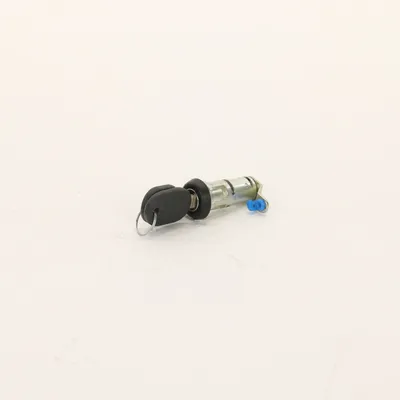 Lock cylinder with key (1x)