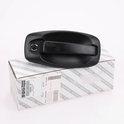 Door handle front right