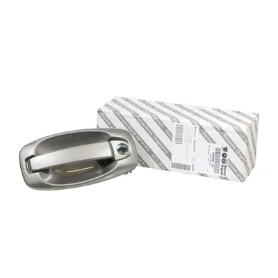 Door handle front left
