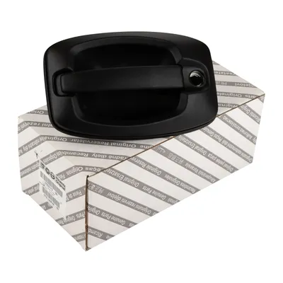 Door handle front left