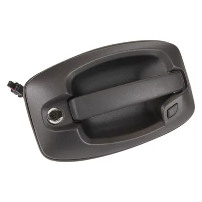 Door handle front left