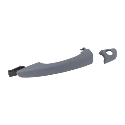 Door handle front left