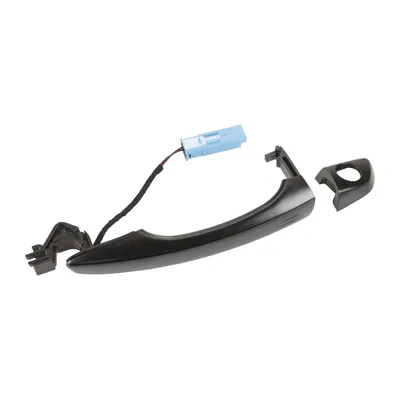 Front left door handle