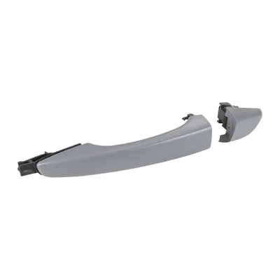 Rear door handle left or right
