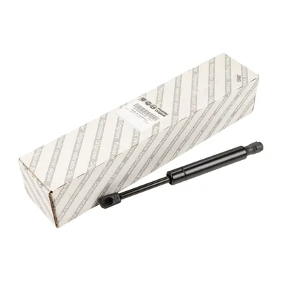 Gas spring for tailgate (1 piece)