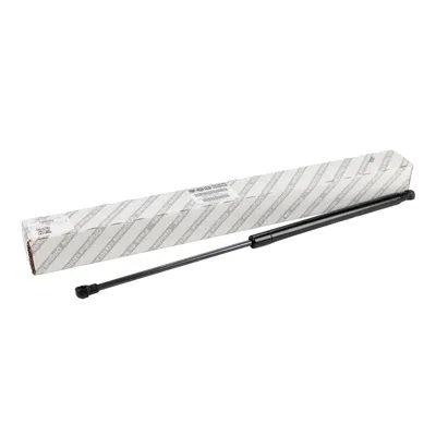 Gas spring for tailgate (1 piece)
