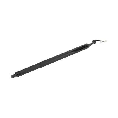 rear left gas spring