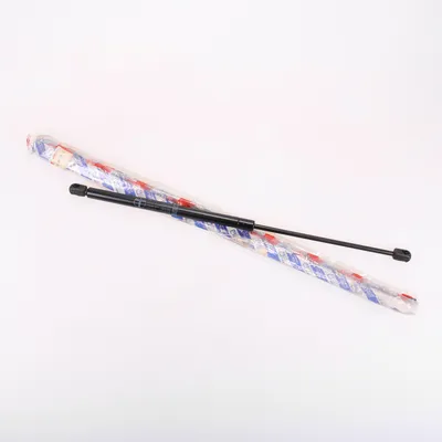 Gas pressure spring rear
