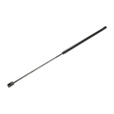 Gas spring, trunk/cargo area