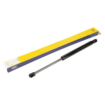 Gas spring, trunk