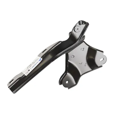 Left hood hinge