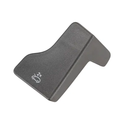 Hood lever