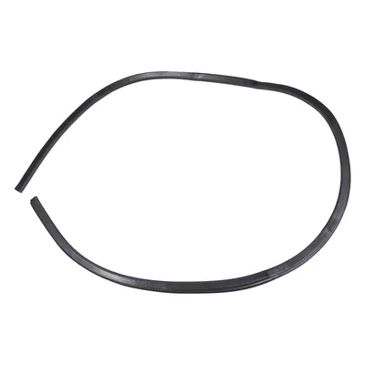 Door seal front