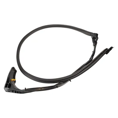 Rear seal bottom left